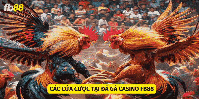 Các cửa cược đá gà casino mà anh em hay chọn lựa