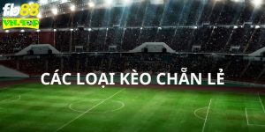 Các loại kèo phổ biến