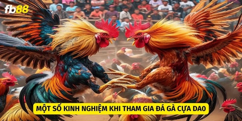 Chú ý đến những kinh nghiệm của người đi trước