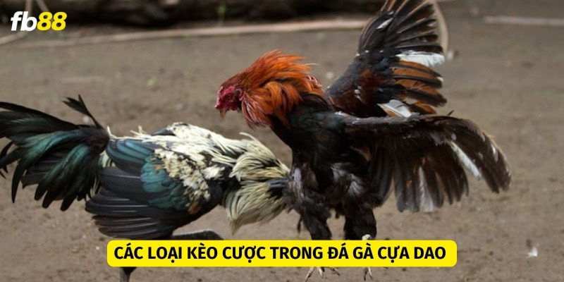 Có ba loại kèo cược phổ biến