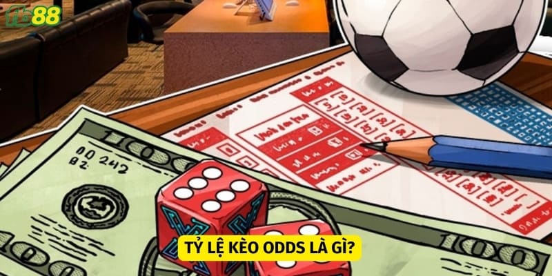 Khái niệm về tỷ lệ Odds là gì?