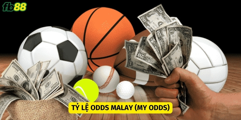 Tỷ lệ odds Malay được đông đảo anh em ưa chuộng