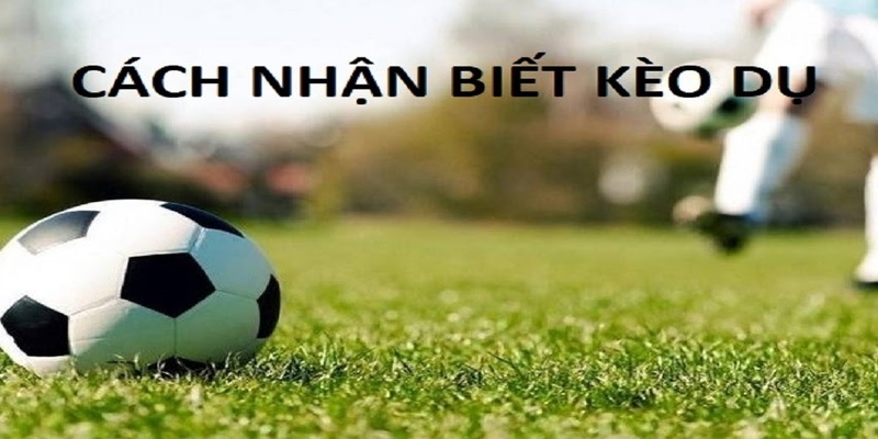 Cách nhận biết kèo dụ chuẩn xác mà bet thủ nên nắm rõ