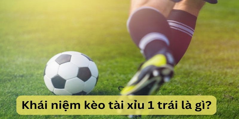 Khái niệm kèo tài xỉu 1 trái