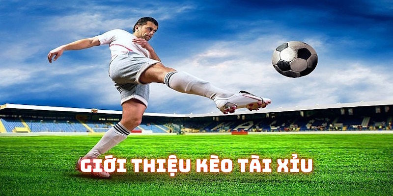 Kèo tài xỉu là gì?