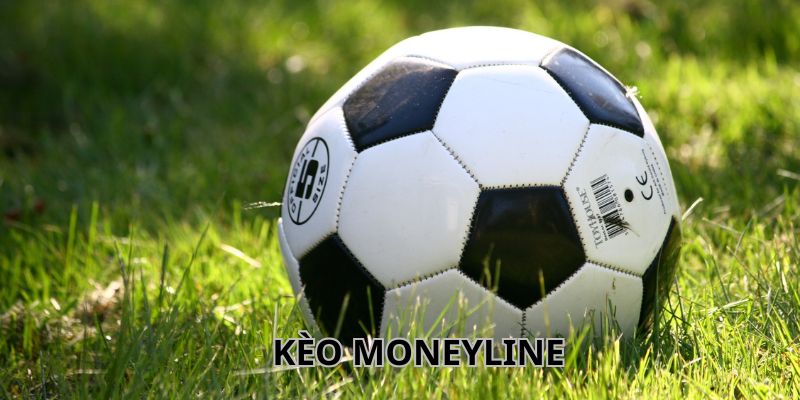 Kèo Moneyline Fb88 Là Gì? Kinh Nghiệm Chơi Hiệu Quả Nhất