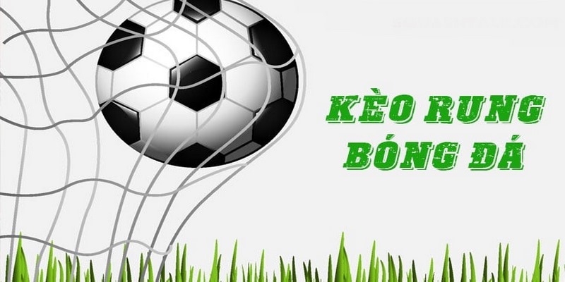 Bí Quyết Soi Kèo Rung Chuẩn Tại Nhà Cái Fb88 Từ Cao Thủ