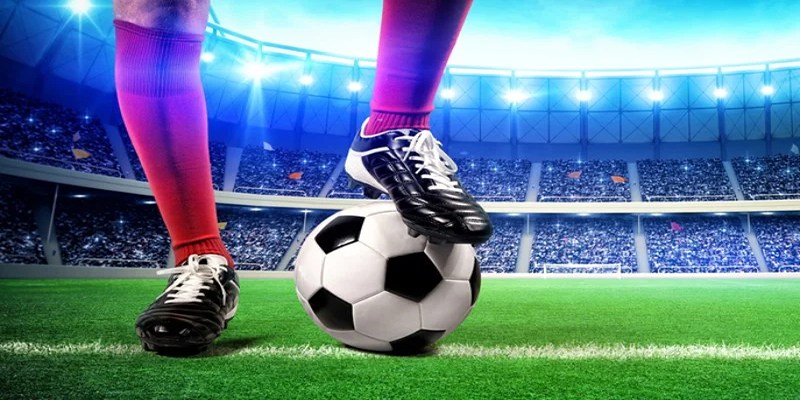 Lưu ý khi xem và đặt cược theo tỷ lệ kèo nhà cái