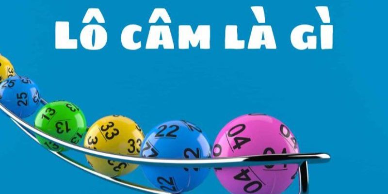 Khái Niệm Lô Câm Và Các Dạng Thường Gặp