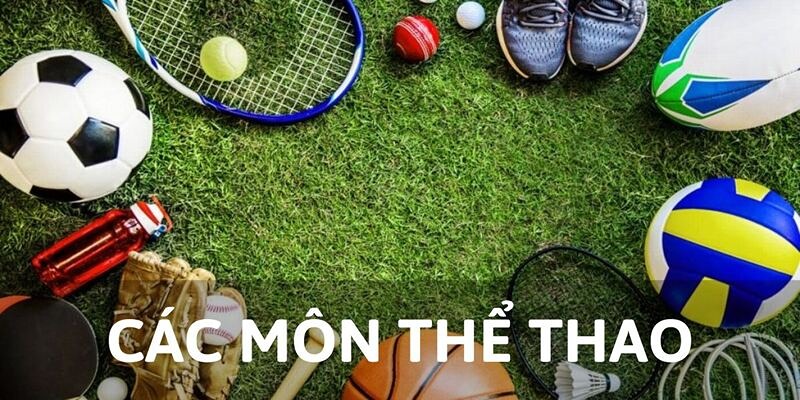 Các môn thể thao cá cược hấp dẫn ở CR Sports