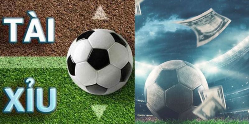 Cách tính tài xỉu theo tỷ lệ cược (odds)