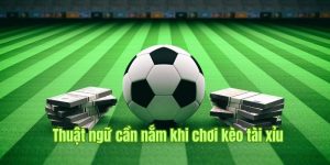 Kèo Tài Xỉu - Mách Bạn Tips Bắt Kèo Thành Công Húp Bạc Tỷ
