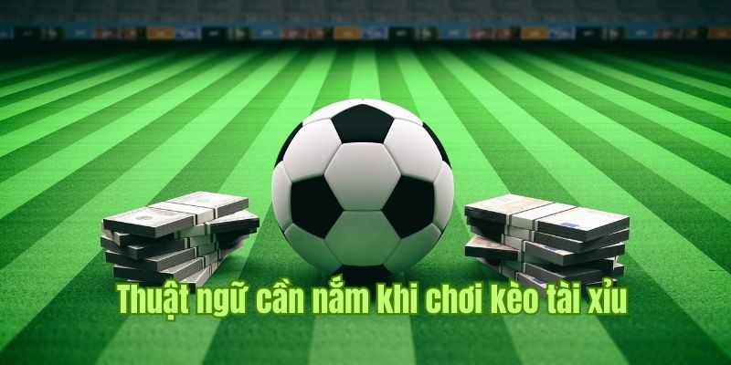 Kèo Tài Xỉu - Mách Bạn Tips Bắt Kèo Thành Công Húp Bạc Tỷ