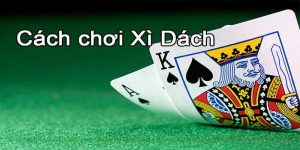 Hướng Dẫn Cách Chơi Xì Dách Đơn Giản Và Chi Tiết Cho Tân Thủ