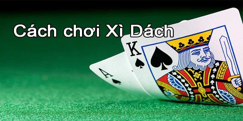 Hướng Dẫn Cách Chơi Xì Dách Đơn Giản Và Chi Tiết Cho Tân Thủ