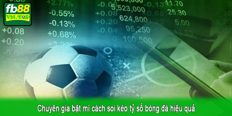 Chuyên gia bật mí cách soi kèo tỷ số bóng đá hiệu quả