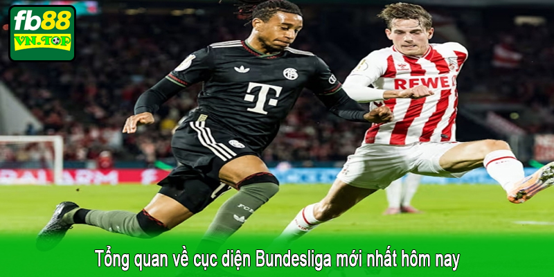 Tổng quan về cục diện Bundesliga mới nhất hôm nay