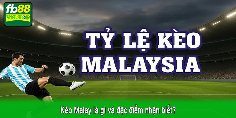 Kèo Malay là gì và đặc điểm nhận biết?