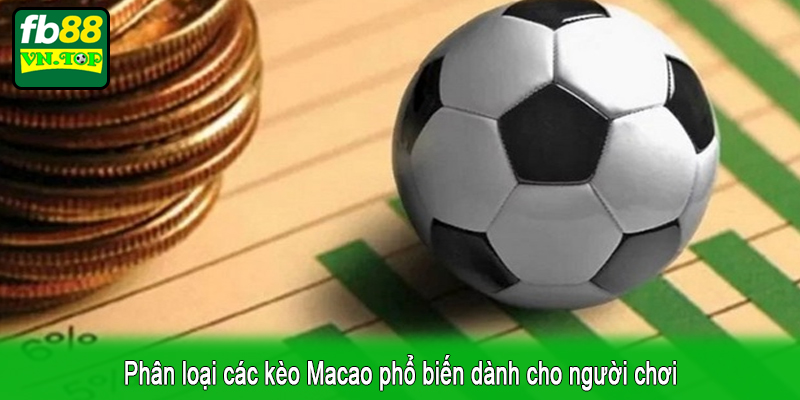 Phân loại các kèo Macao phổ biến dành cho người chơi
