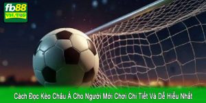 cách đọc kèo Châu Á cho người mới chơi