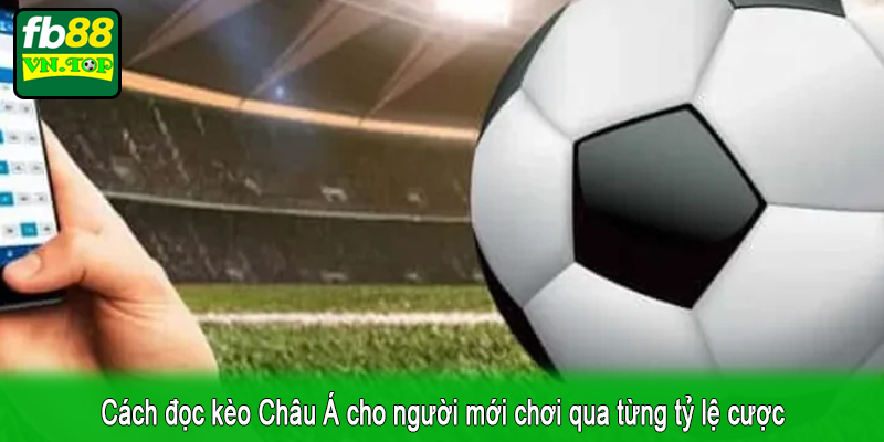 Cách đọc kèo Châu Á cho người mới chơi qua từng tỷ lệ cược