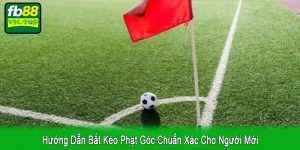 hướng dẫn bắt kèo phạt góc chuẩn xác