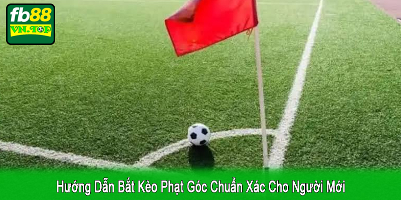 hướng dẫn bắt kèo phạt góc chuẩn xác