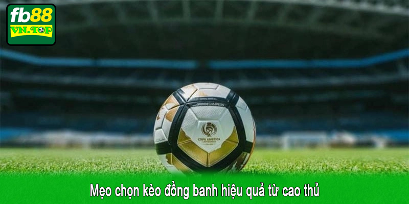 Mẹo chọn kèo đồng banh hiệu quả từ cao thủ
